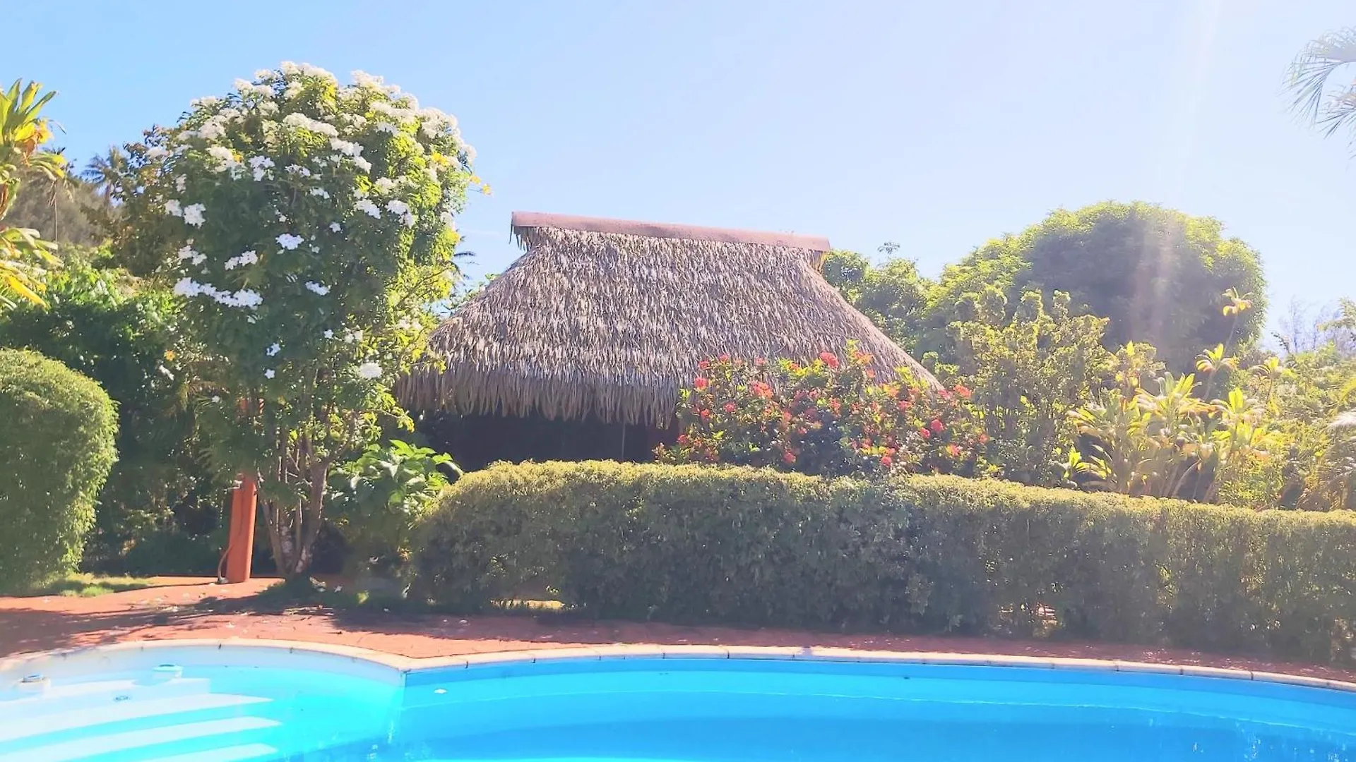 Huahine - Bungalow Napoleon Fare 0*,  Polynésie française