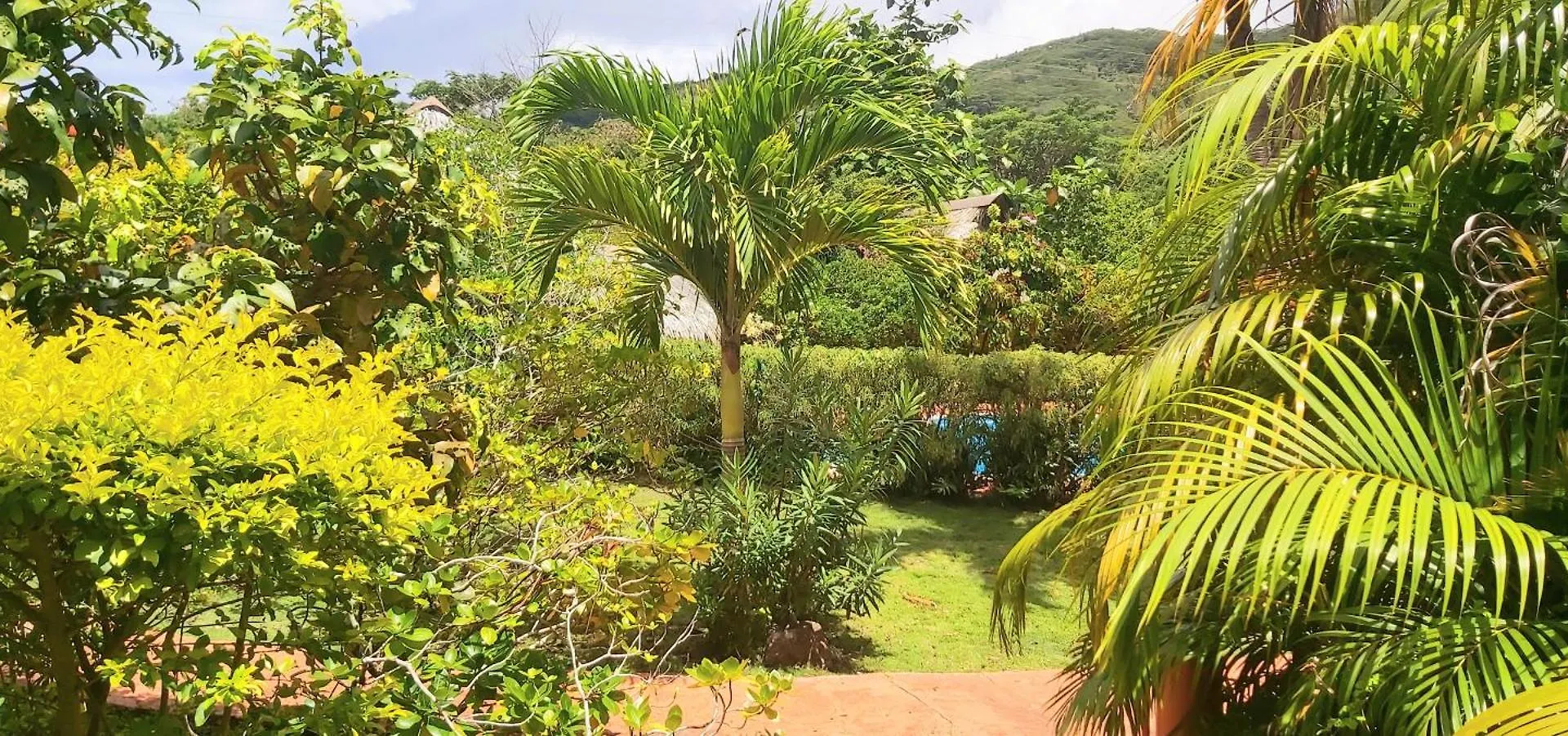 Huahine - Bungalow Napoleon Fare Maison d'hôtes